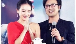 章子怡离婚爆料了吗最新消息,揭秘背后真相与细节