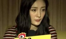 爆料女艺人后续视频大全,全程回顾事件发展及后续影响